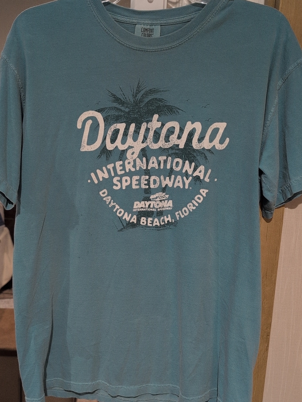 Comfort Colors Teal Daytona Beach Graphic Tee